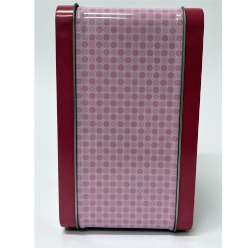 Sailor Moon and Tuxedo Mask Tin Titans Lunchbox with Thermos - Previews Exclusive